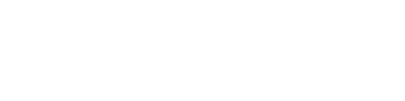 LOGO LOGIKA300